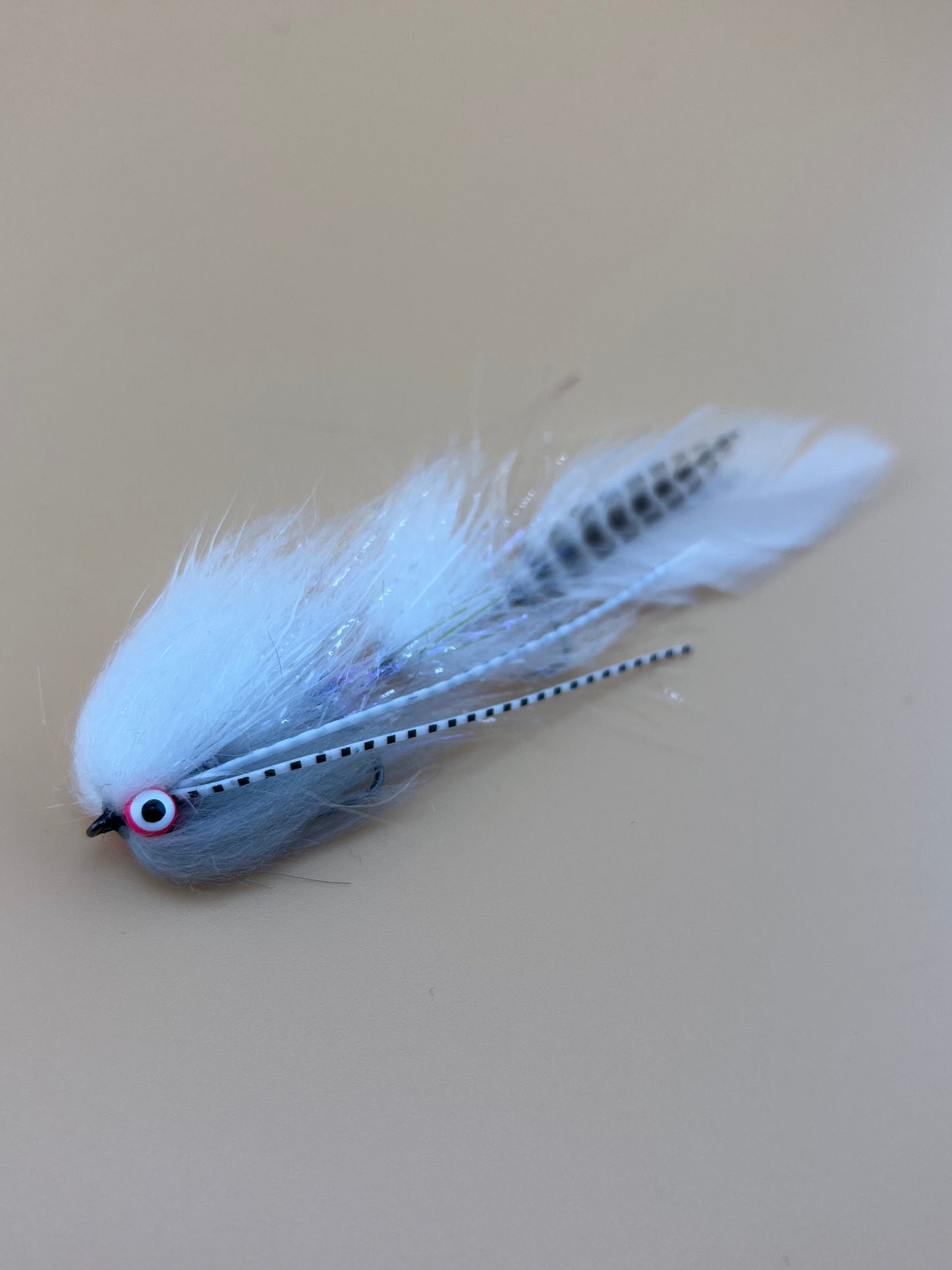 Thrasher in White - Creeks N' Critters