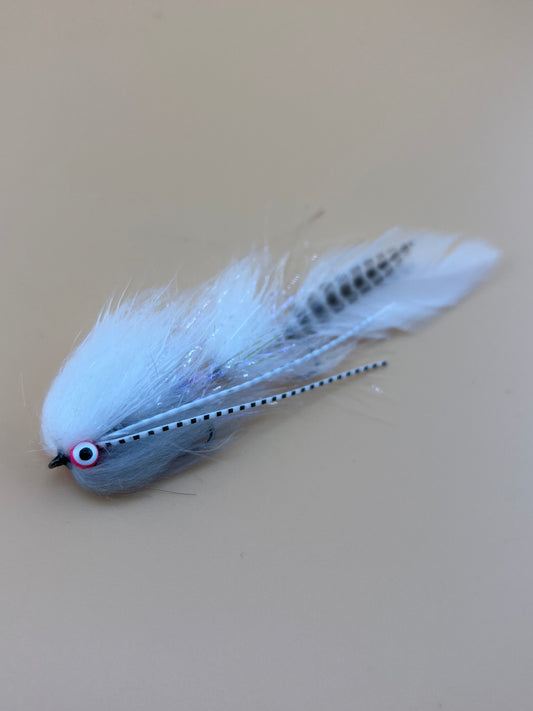 Thrasher in White - Creeks N' Critters